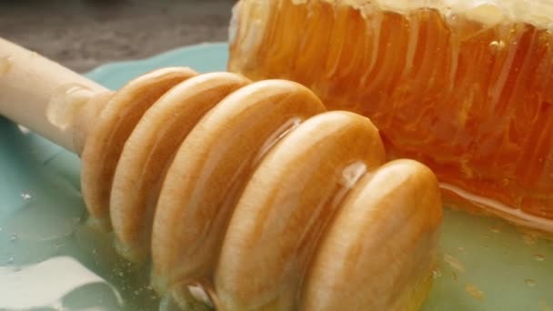 Conceito Natural Eco Food. favos de mel frescos com pau de madeira, close-up — Vídeo de Stock