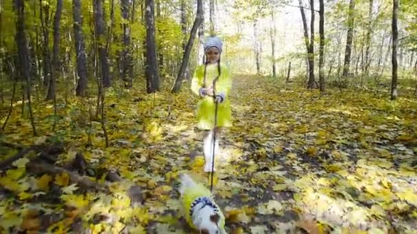 Concepto de mascotas, familia y amistad. pequeña linda chica corre a través del bosque de otoño con un perro — Vídeos de Stock