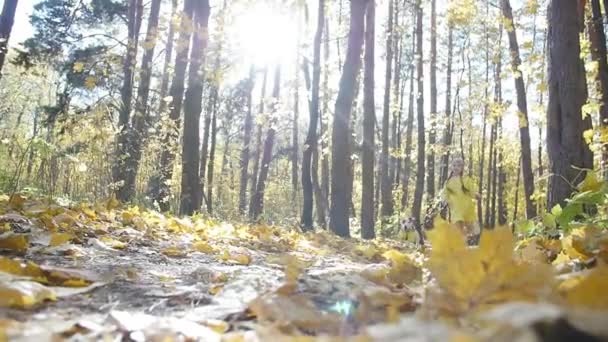 Concept d'animaux domestiques, de famille et d'amitié. petite fille mignonne court à travers la forêt d'automne avec un chien — Video