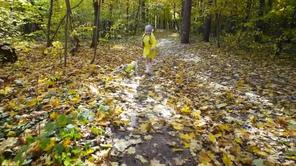ペット、家族、友情の概念。秋の公園を走る犬を持つ少女 — ストック動画