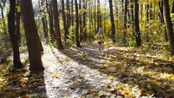 Concepto de mascotas, familia y amistad. Niña con un perro corriendo en el parque de otoño — Vídeos de Stock