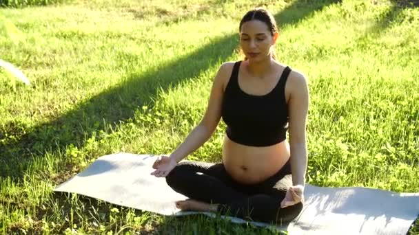 Concepto de maternidad y embarazo. Joven mujer embarazada sentada en la hierba haciendo ejercicio de fitness o yoga en el soleado día de verano — Vídeos de Stock