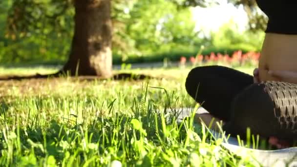 Mutterschafts- und Schwangerschaftskonzept. Junge Schwangere sitzt im Gras und macht Fitness oder Yoga an sonnigen Sommertagen — Stockvideo