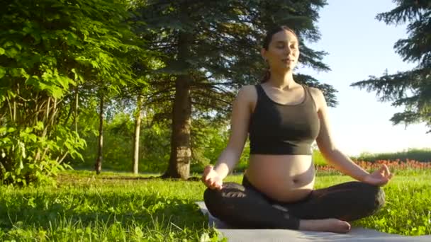 Concepto de maternidad y embarazo. Joven mujer embarazada sentada en la hierba haciendo ejercicio de fitness o yoga en el soleado día de verano — Vídeos de Stock