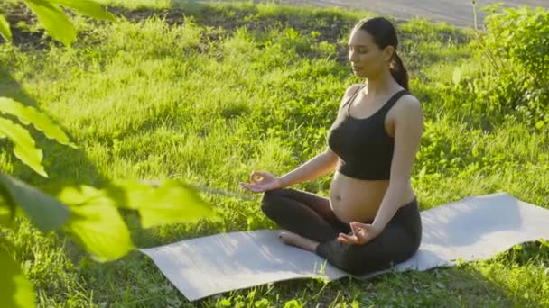 Концепция материнства и беременности. Молодая беременная женщина сидит на траве и занимается фитнесом или йогой в солнечный летний день — стоковое видео