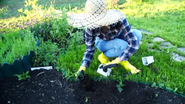 Hobby concept. Woman planting young seedling — Stock Video