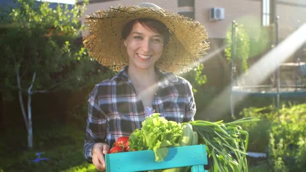 Conceito de hobbies e vida no campo. Mulher bonita segurando caixa de legumes frescos — Vídeo de Stock