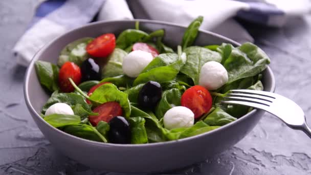 Vegetarisch en biologisch voedselconcept. Caprese Italiaanse of mediterrane salade. Tomaat mozzarella basilicum bladeren zwarte olijven en olijfolie roteren — Stockvideo