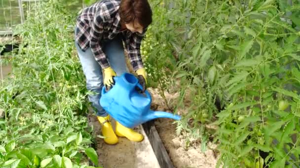 Концепция хобби и деревенской жизни. Молодая женщина поливает растения в оранжерее — стоковое видео