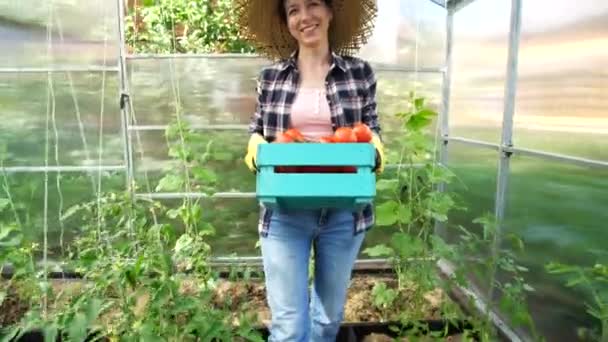 Conceito de hobbies e vida no campo. Mulher bonita segurando caixa de tomates frescos — Vídeo de Stock