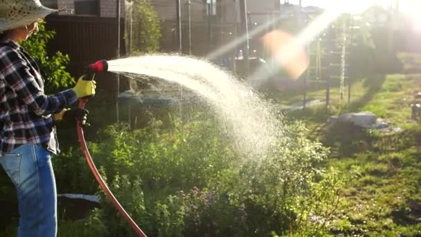 Jonge vrouw besproeit planten in haar tuin met tuinslang. Hobby-concept — Stockvideo