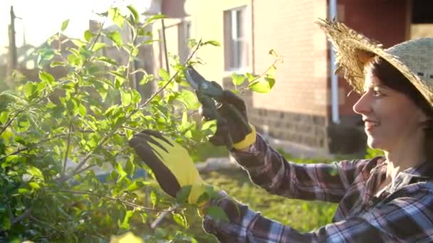 Concepto de pasatiempos y vida rural. Mujer joven cuidando árboles en su jardín — Vídeo de stock