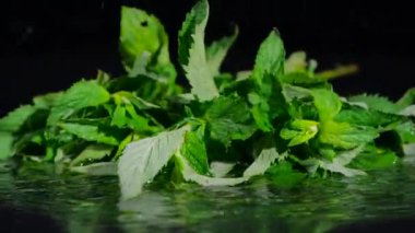 Nane, siyah arkaplanda suya düşer.