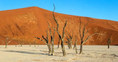 Kum tepeleri, Deadvlei, Namib-Naukluft Milli Parkı, Afrika arka planda ölü akasya ağaçları ile Sossusvlei Manzara.