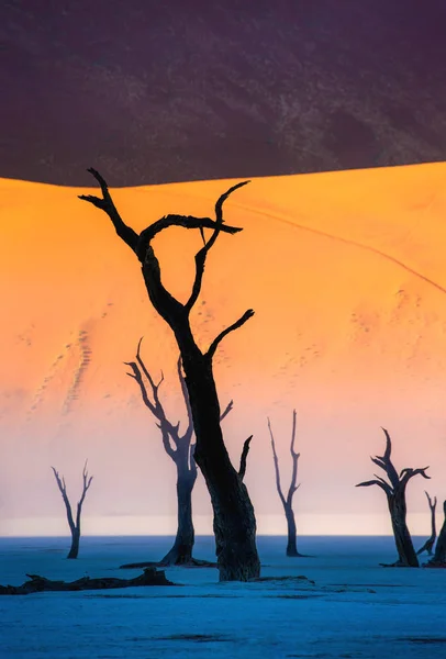 Acacias Morts Sur Fond Dune Sable Avec Brouillard Matinal Sossusvlei — Photo
