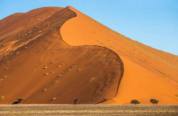 Дюны Sossusvlei Красивых Формах Потрясающим Светом Цветом Sossusvlei Намиб Науклуфт — стоковое фото