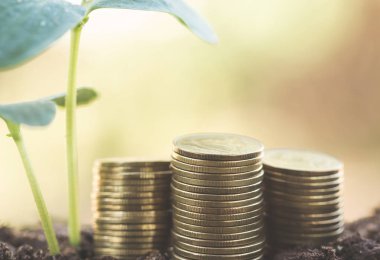 Kaydetme para para kavramı ve iş yatırım büyüme ile yığın para COI