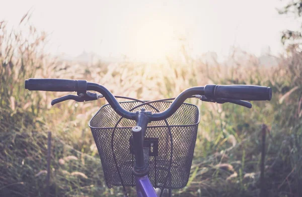 Ποδήλατο Γρασίδι Λουλούδι Πρωί — Φωτογραφία Αρχείου