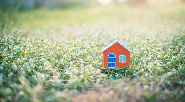 Orange house model in the meadow