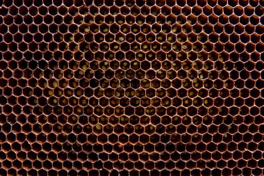 Arka plan doku ve desen balmumu petek arı kovanı üzerinden bir bölümünün.