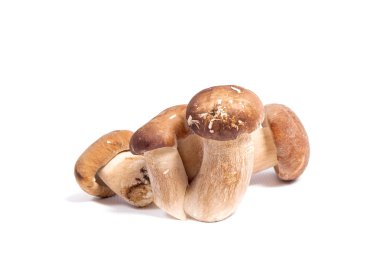Şaşırtıcı yenilebilir mantar boletus mantarı sonbahar hasat (Kral bolete) izole üzerinde beyaz arka plan porcini mantar olarak bilinen