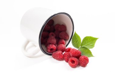 Beyaz fincan taze ahududu meyve ile görünümünü ve büyük yeşil yaprak ahududu Bush üzerinde beyaz adam izole kapatmak