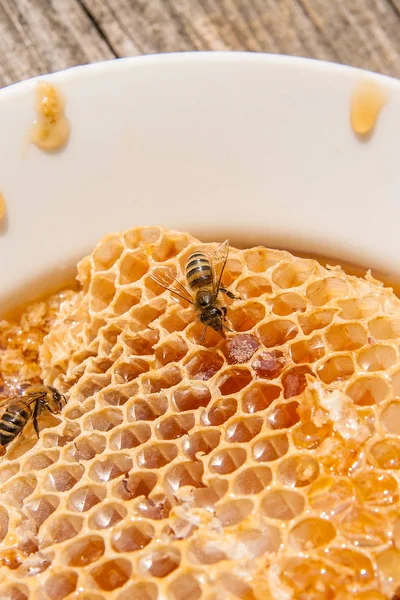 Zár Megjelöl Kilátás Nyílik Dolgozó Méhek Méhsejt Édes Mézzel Fehér — Stock Fotó