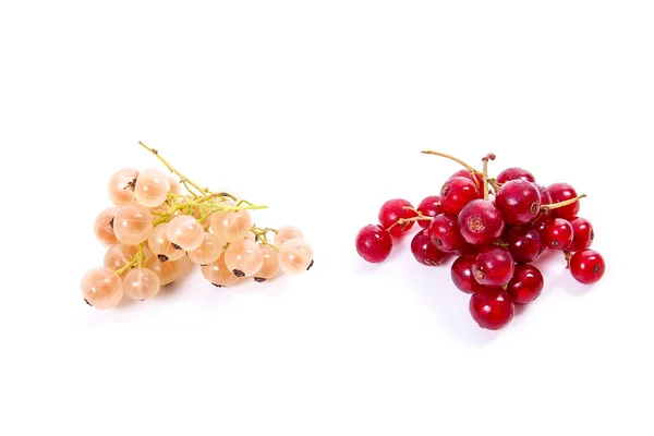 Close View White Red Currant Berry Isolated White Background — Stock Photo, Image