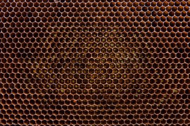 Arka plan doku ve desen balmumu petek arı kovanı üzerinden bir bölümünün.