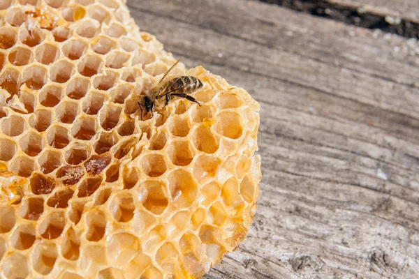 Zár Megjelöl Kilátás Nyílik Dolgozó Méhek Méhsejt Édes Mézzel Viasz — Stock Fotó