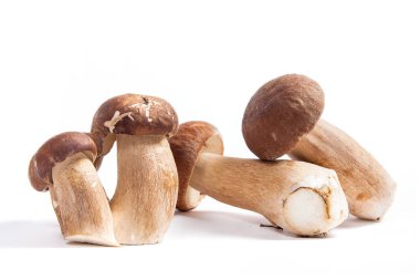 Şaşırtıcı yenilebilir mantar boletus mantarı sonbahar hasat (Kral bolete) izole üzerinde beyaz arka plan porcini mantar olarak bilinen