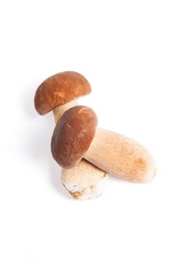 Şaşırtıcı yenilebilir mantar boletus mantarı sonbahar hasat (Kral bolete) izole üzerinde beyaz arka plan porcini mantar olarak bilinen