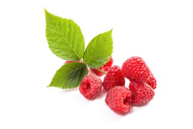 Ahududu Bush üzerinde beyaz adam izole yeşil yaprak taze ahududu meyve görünümü kadar kapatın