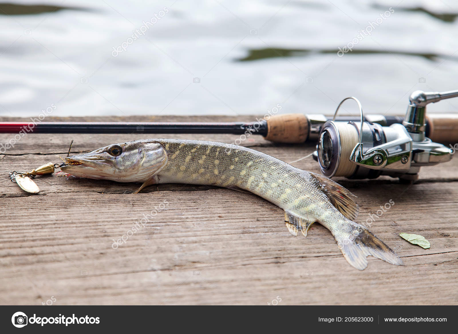 pike fishing tackle