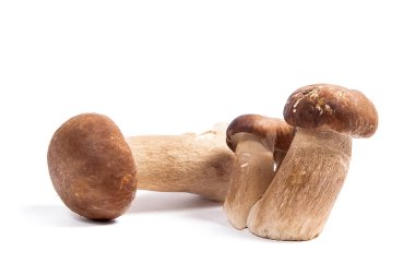 Şaşırtıcı yenilebilir mantar boletus mantarı sonbahar hasat (Kral bolete) izole üzerinde beyaz arka plan porcini mantar olarak bilinen