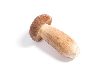Yenilebilir mantar boletus mantarı şaşırtıcı sonbahar hasat (Kral bolete) beyaz arka plan üzerinde izole porcini mantar olarak bilinen