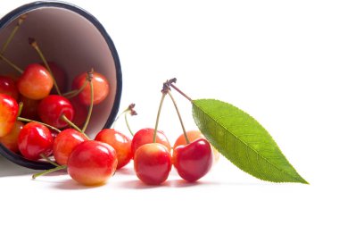 Olgun çilek ile beyaz fincan sarı tatlı vişne ve kiraz ağacının beyaz adam üzerinde yeşil yaprak ile çeşitli meyve