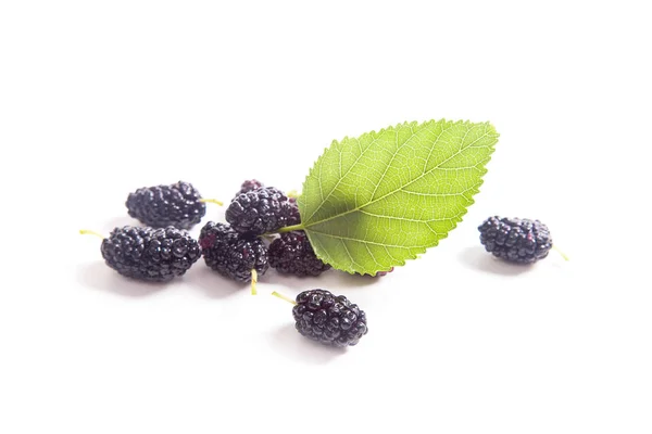 Heap Fresh Sweet Black Mulberry Berries Green Leaf Mulberry Tree — Stock Photo, Image