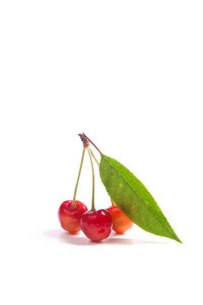 Beeren Von Gelben Süßkirschen Mit Grünem Kirschblatt Auf Weißem Hintergrund — Stockfoto