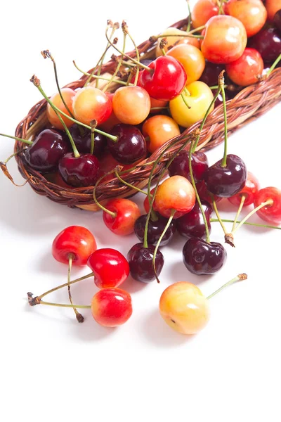 Korb Mit Reifen Beeren Von Gelben Und Roten Süßkirschen Auf — Stockfoto