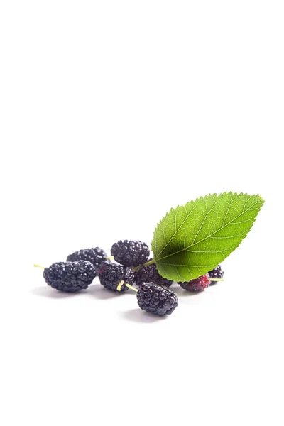 Heap Fresh Sweet Black Mulberry Berries Green Leaf Mulberry Tree — Stock Photo, Image