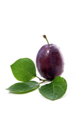 Tatlı sulu Erik su damlaları ve beyaz arka plan üzerinde izole büyük yaprak yeşil