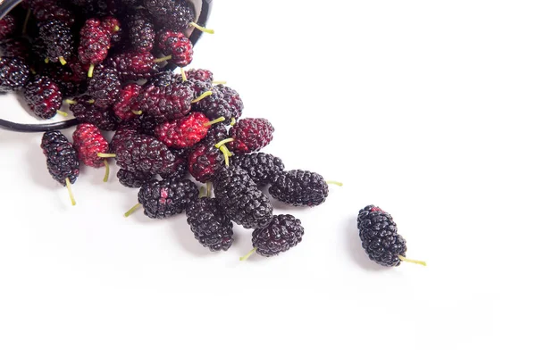 Copa Blanca Con Moras Negras Dulces Frescas Aisladas Whit — Foto de Stock