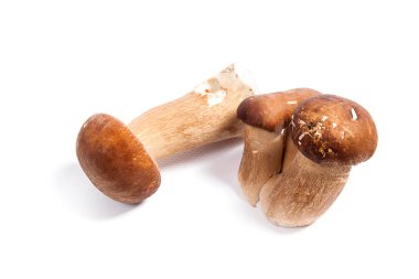 Şaşırtıcı yenilebilir mantar boletus mantarı sonbahar hasat (Kral bolete) izole üzerinde beyaz arka plan porcini mantar olarak bilinen