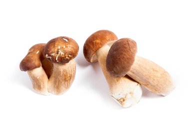 Şaşırtıcı yenilebilir mantar boletus mantarı sonbahar hasat (Kral bolete) izole üzerinde beyaz arka plan porcini mantar olarak bilinen