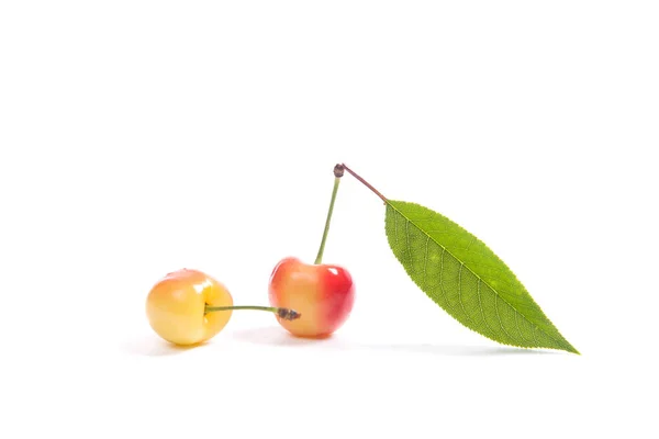 Bär Gula Sötkörsbär Med Gröna Blad Körsbärsträd Vita Bak — Stockfoto