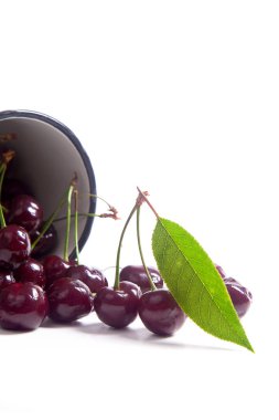 Olgun çilek ile beyaz fincan kırmızı tatlı vişne ve kiraz ağacının beyaz adam üzerinde yeşil yaprak ile çeşitli meyve