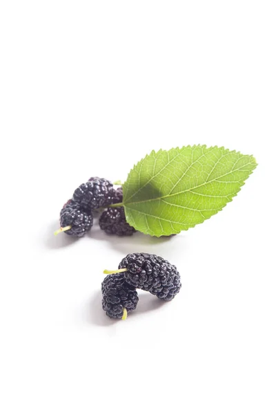 Heap Fresh Sweet Black Mulberry Berries Green Leaf Mulberry Tree — Stock Photo, Image