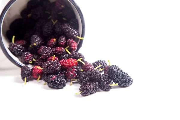 Copa Blanca Con Moras Negras Dulces Frescas Aisladas Whit — Foto de Stock