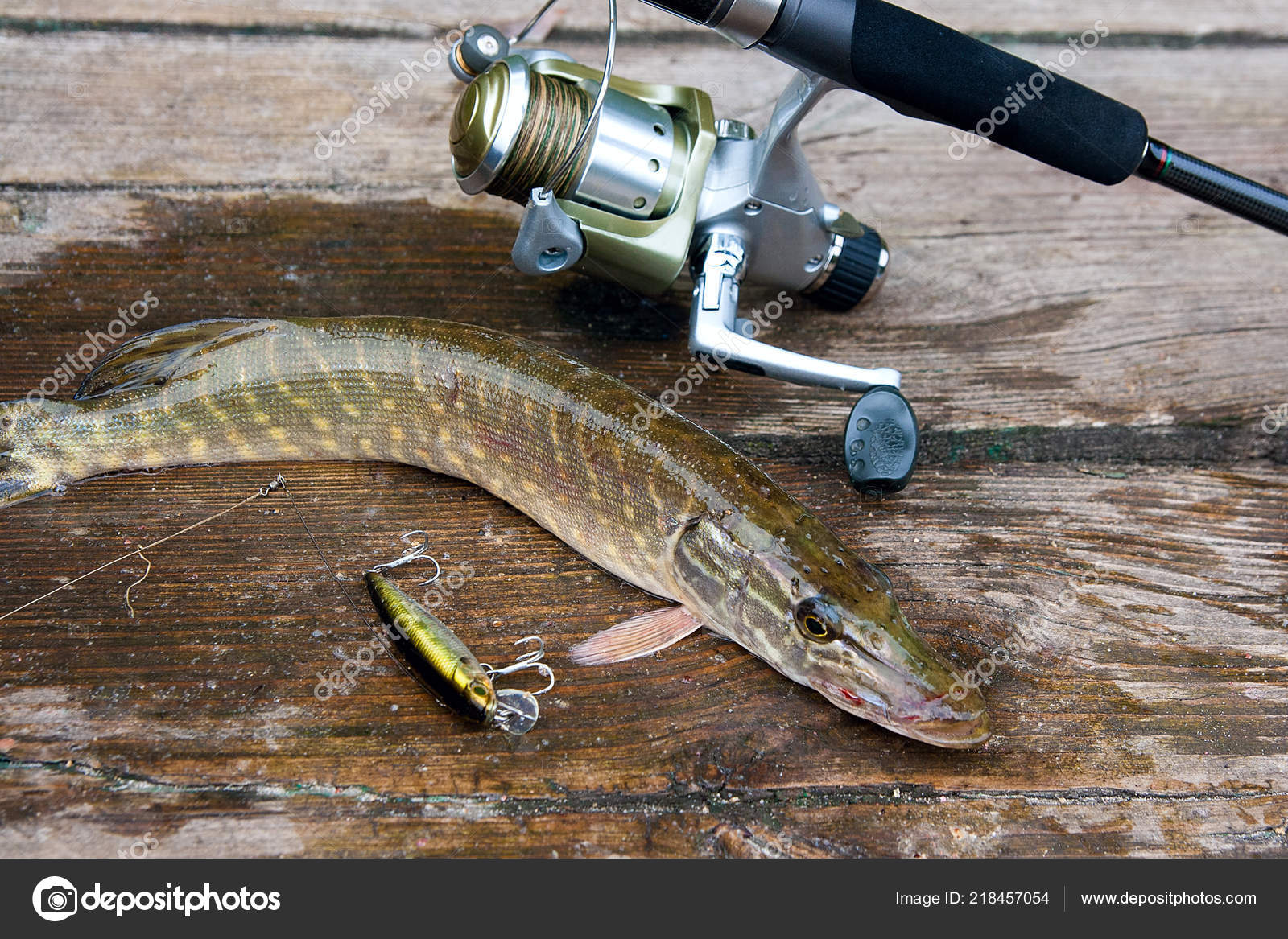 pike fishing rod and reel